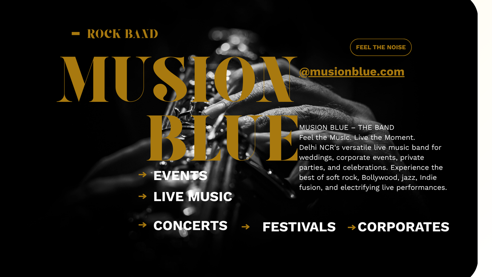 musionblue live music performance at Delhi NCR aat musionblue.com